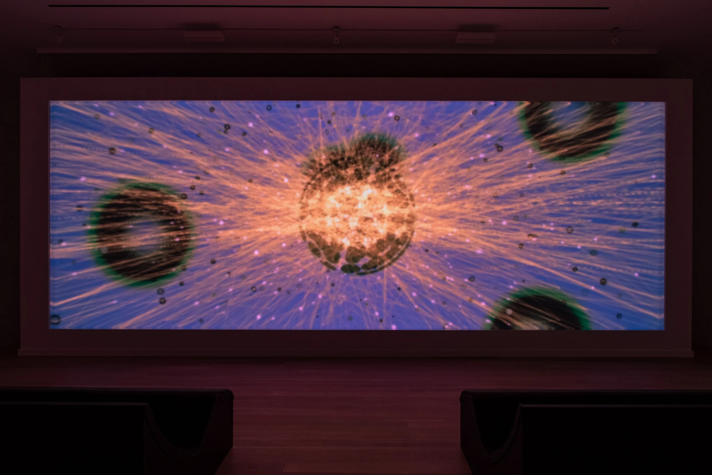 Celestial Garden, 2023 — LEO VILLAREAL